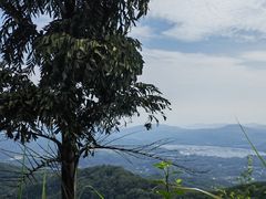 -广州市帽峰山景区