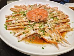 松叶蟹-新南华大酒店(广中店)