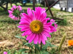 -中家鑫园温泉酒店鑫悦汤泉