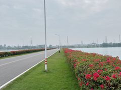 -露天矿生态公园