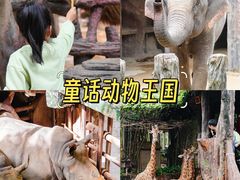 -长鹿旅游休博园