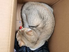 -美联众合24小时·皮肤科·外科·全科诊疗中心(华苑分院)