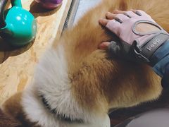 -YCHL Studios健身工作室(市二宫店)