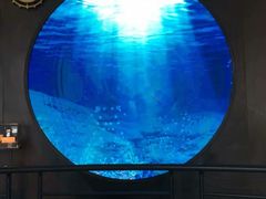 -贝林大翅鲸简餐厅(国家海洋博物馆店)