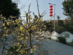 -郫都区农科村景区