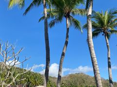 -三亚南山文化旅游区