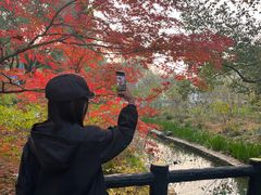 -上海佘山国家森林公园西佘山园