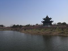 -上海海湾国家森林公园