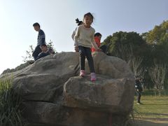 -昆山城市生态森林公园