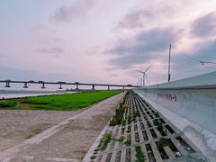 -南汇新城海滩