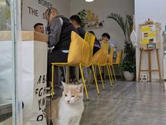 -五进制 Coffee Shop