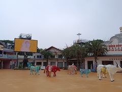 -鼎龙湾德萨斯水世界