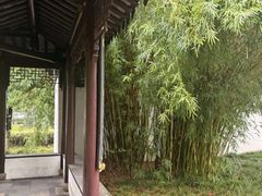 -宁波儿童公园(鄞州区)
