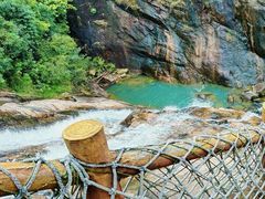 -广州白江湖森林公园