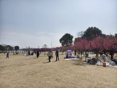 -长广溪湿地公园