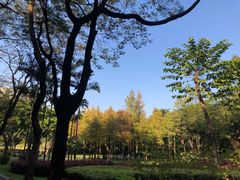 -晓港公园