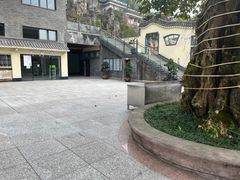 -老幺泉水鸡