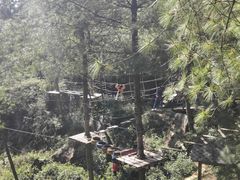 -梦幻奥陶纪景区