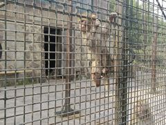 -南京金牛湖风景区