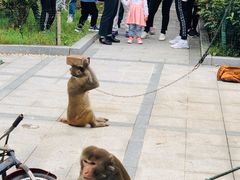 -南京金牛湖风景区