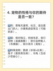 -神奇动物撸宠馆·羊驼·小浣熊·异宠(豫园店)