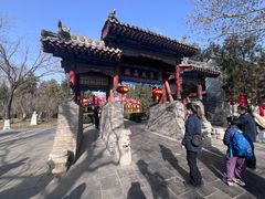 -大槐树寻根祭祖园