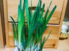 -秦美花卉(天朗·莱茵小城2期店)