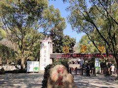 -鲁镇