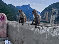 -白帝城·瞿塘峡景区