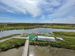 -春花秋色城市公园