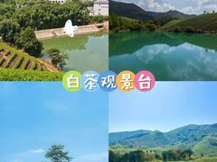 -阿露佳·舌尖上的安吉菜