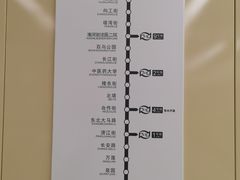 -丁香湖公园