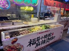 -福苗小骆驼烧烤(莲湖路店)