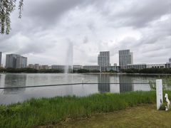 -尚贤河湿地