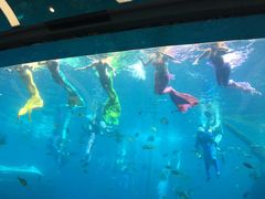 -瑞德姆美人鱼海底演艺主题餐厅(亚龙湾店)