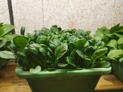 -番食园鲜食火锅(高新店)