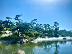 -罗红摄影艺术馆