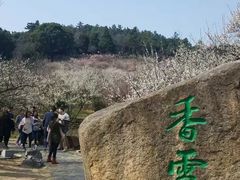 -香雪海