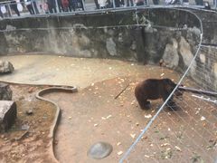 -无锡动物园·太湖欢乐园