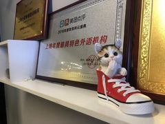 -引领英语·成人口语·雅思托福