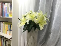 -OM瑜伽教练培训学院