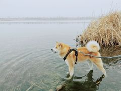 -绿堤公园