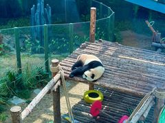 -大连森林动物园