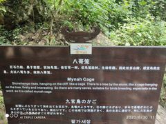 -南京金牛湖风景区