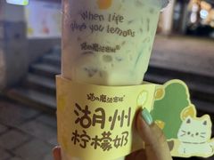 -猫的魔法密林(衣裳街店)