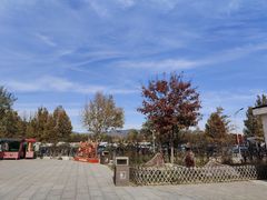 -北京西山国家森林公园