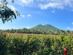 -亚龙湾国际玫瑰谷