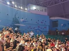 -烟台海昌鲸鲨海洋公园