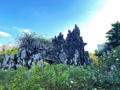 -人民公园(罗湖区)