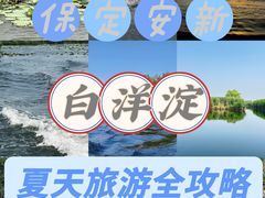 -白洋淀景区